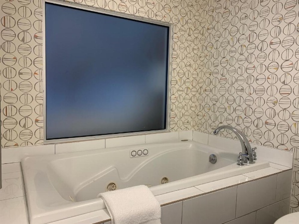 Holiday Inn Asheville - Biltmore West by IHG image 10